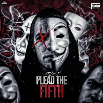 Plead the Fifth by Pynt