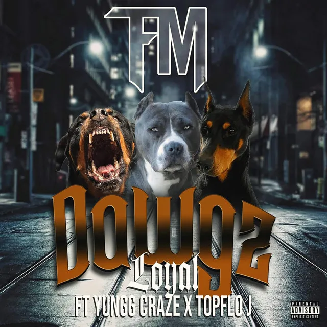 Dawgz (TFM RADIO)