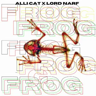 FROG by Alli Cat