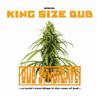 Special King Size Dub by Dub Syndicate