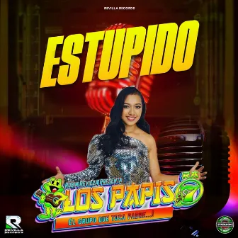 Estupido by Unknown Artist