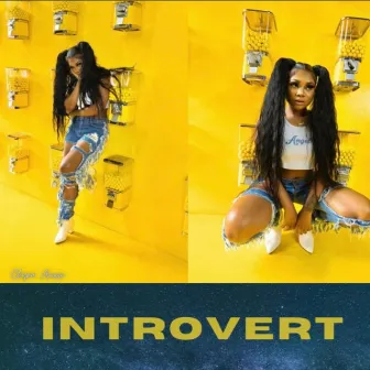 Introvert by Chyna Aniese