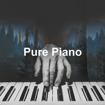 Pure Piano by Frank Piano