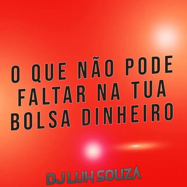 O Que Não Pode Faltar Na Tua Bolsa Dinheiro