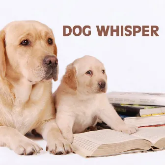 Dog Whisper: Relaxation Music and Calming Music for Dog, Whisperer in Wildlife by Dog Whisper