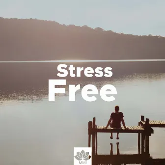 Stress Free - Nature Sounds, Relaxing Piano Music, Instrumental Songs by Chakra Ray