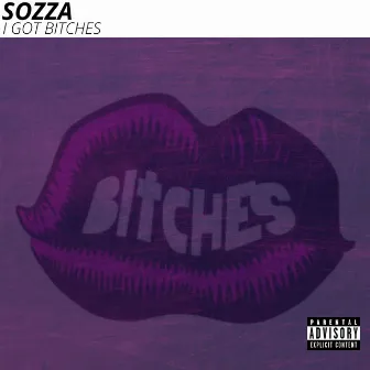 I Got Bitches by SOZZA