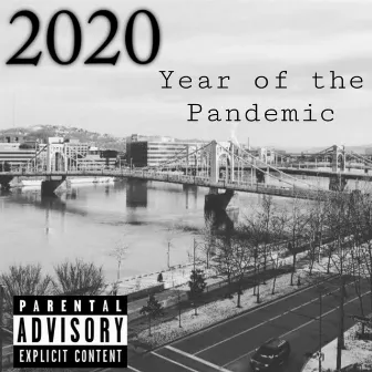 2020: Year of The Pandemic by N.R.J