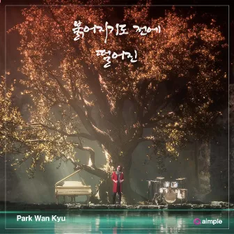 Not Meant To Be by Park Wan Kyu