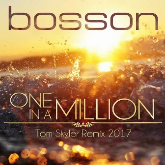 One in a Million (Tom Skyler Remix 2017) by Tom Skyler