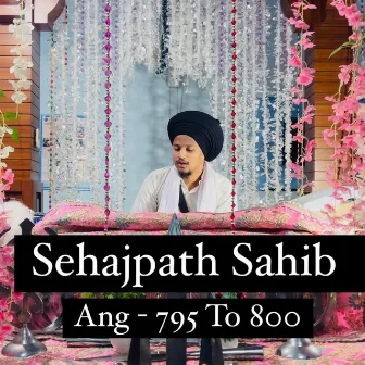 Sehajpath Sahib Ang 795 To 800 by Gurbani Vichar