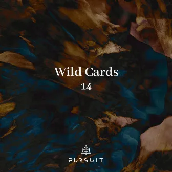 Wild Cards 14 by Elusive Mind