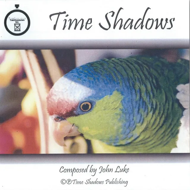 Time Shadows