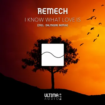 I Know What Love Is by ReMech