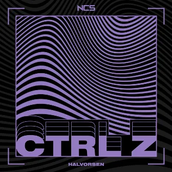 CTRL Z by Halvorsen