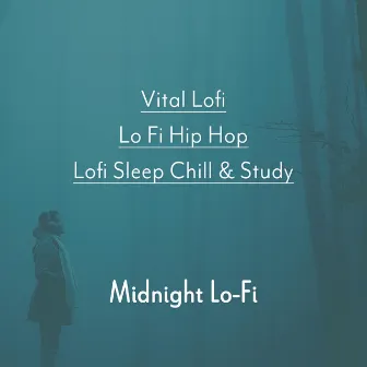 Midnight Lo-Fi by Vital Lofi