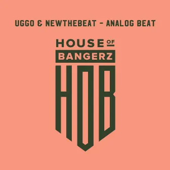 Analog Beat by NewTheBeat