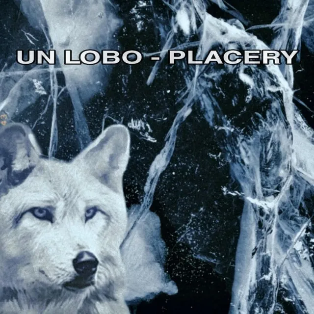 Un Lobo