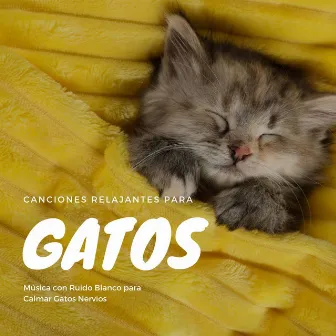 Canciones Relajantes para Gatos: Música con Ruido Blanco para Calmar Gatos Nervios by Armando Reposo