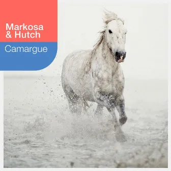 Camargue by Hutch