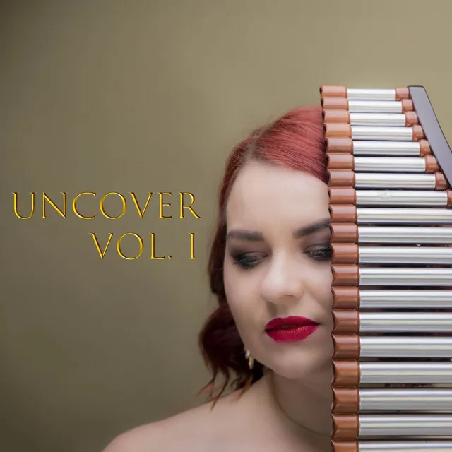 A Thousand Years - Panflute Version