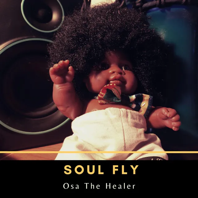 Soul Fly