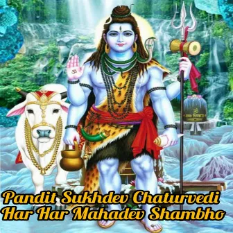 Har Har Mahadev Shambho by Pandit Sukhdev Chaturvedi