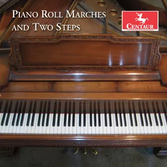 Piano Roll Marches and Two Steps, Vol. 1 by David Dawn