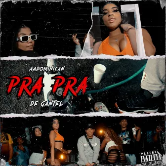 PRA PRA (DE GANTEL) by AAdominican