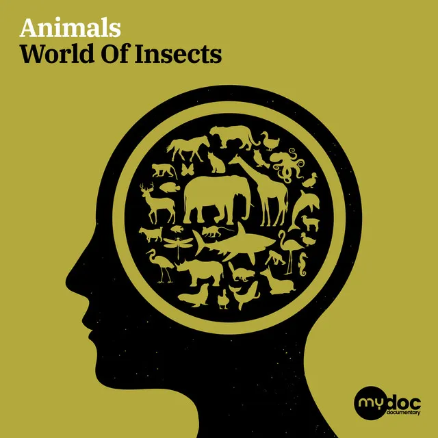 World Of Insects