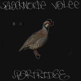 Partridge by Black Noi$e