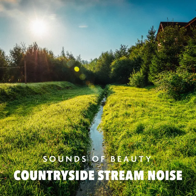 Countryside Stream Noise