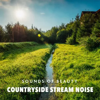 Countryside Stream Noise by Sounds of Beauty