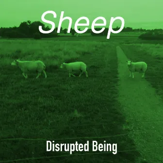 Sheep by Disrupted Being