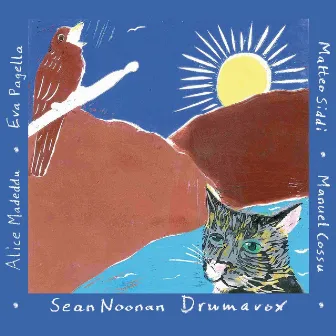 Drumavox by Sean Noonan