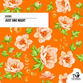 Just One Night by Growu