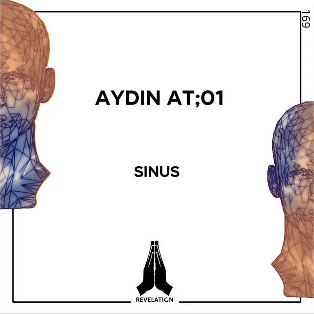 Sinus