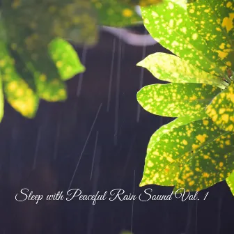 Sleep with Peaceful Rain Sound Vol. 1 by Peaceful Lullabies