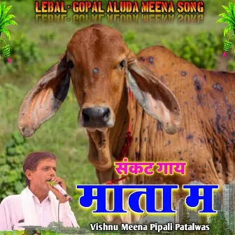 Sankat Gay Mata Mein (Hindi) by Vishnu Meena Pipali Patalwas