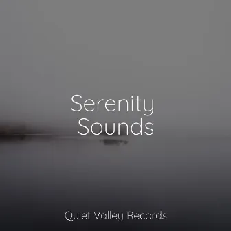 Serenity Sounds by Water Sounds for Sleep