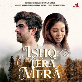 Ishq Tera Mera by Hriday Gattani