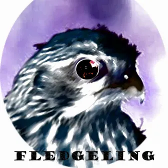 Fledgeling 2022 by Hypervile