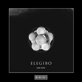 Elegibo (Hardstyle Remix) by Emily Fox