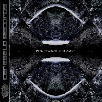 Permanent Damages by Dlta