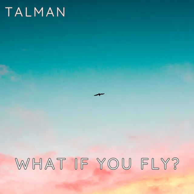 What If You Fly?