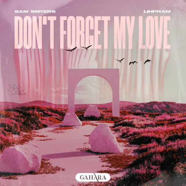 Don't Forget My Love