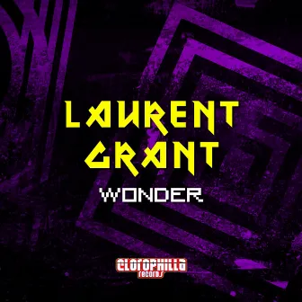 Wonder by Laurent Grant