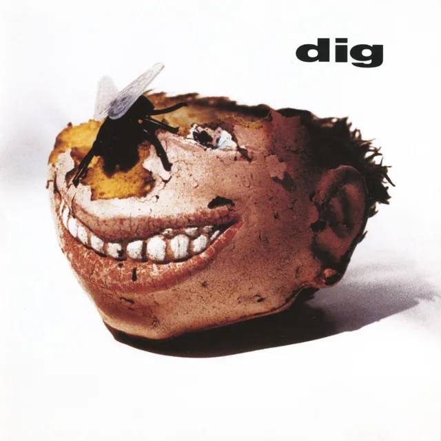 Dig