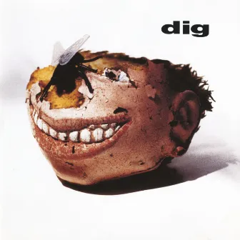 Dig by Dig