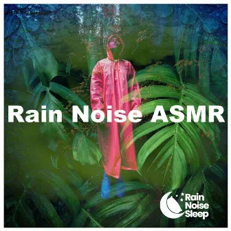 Rain Noise ASMR by Rain Noise Sleep